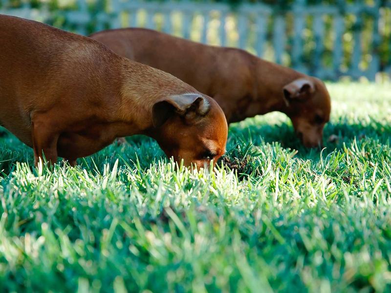间歇性踌躇满志<br>ujcbtdu.cn 持续性混吃等死